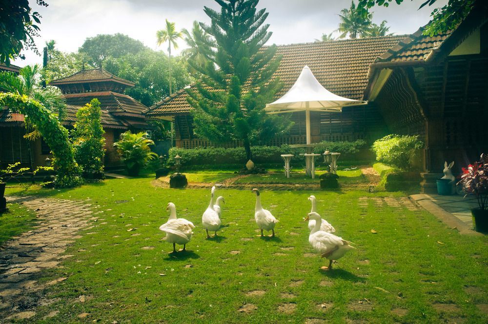 منتجعات باجودا Alappuzha المظهر الخارجي الصورة